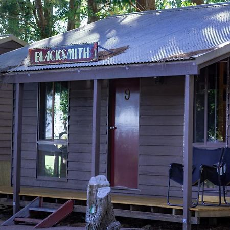 Dorrigo Mountain Holiday Park Bagian luar foto