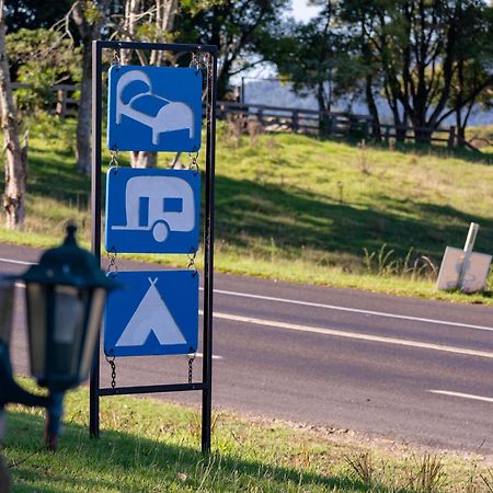 Dorrigo Mountain Holiday Park Bagian luar foto