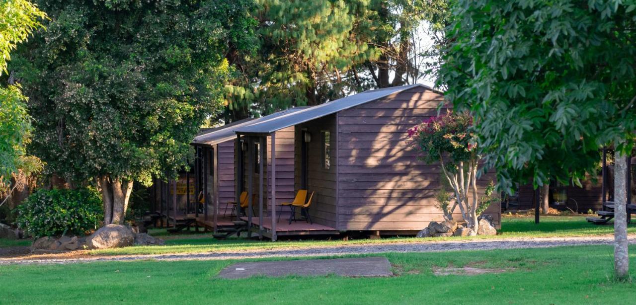 Dorrigo Mountain Holiday Park Bagian luar foto