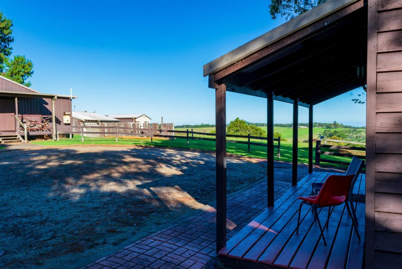 Dorrigo Mountain Holiday Park Bagian luar foto