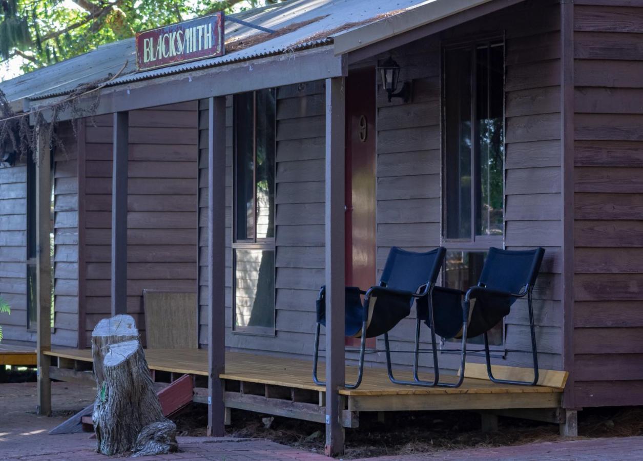 Dorrigo Mountain Holiday Park Bagian luar foto