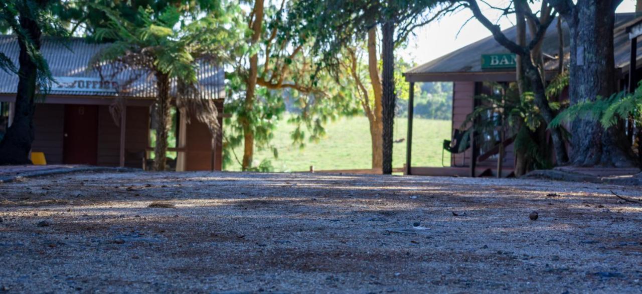 Dorrigo Mountain Holiday Park Bagian luar foto