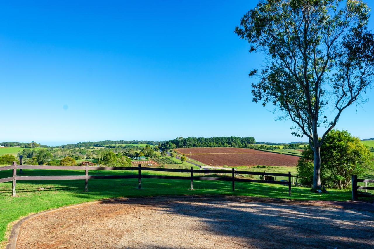 Dorrigo Mountain Holiday Park Bagian luar foto