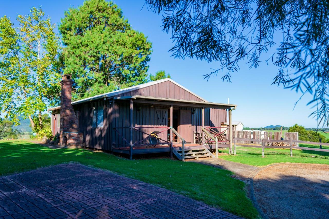 Dorrigo Mountain Holiday Park Bagian luar foto
