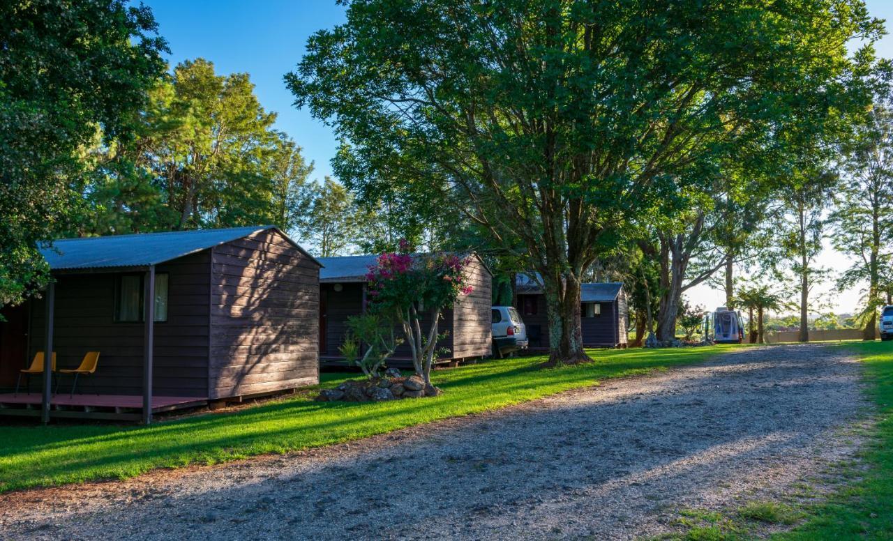 Dorrigo Mountain Holiday Park Bagian luar foto