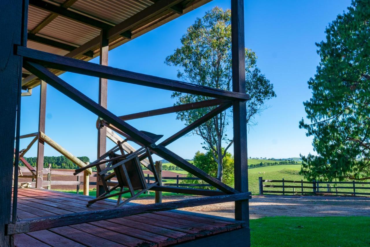 Dorrigo Mountain Holiday Park Bagian luar foto
