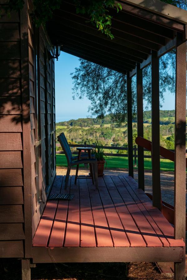Dorrigo Mountain Holiday Park Bagian luar foto