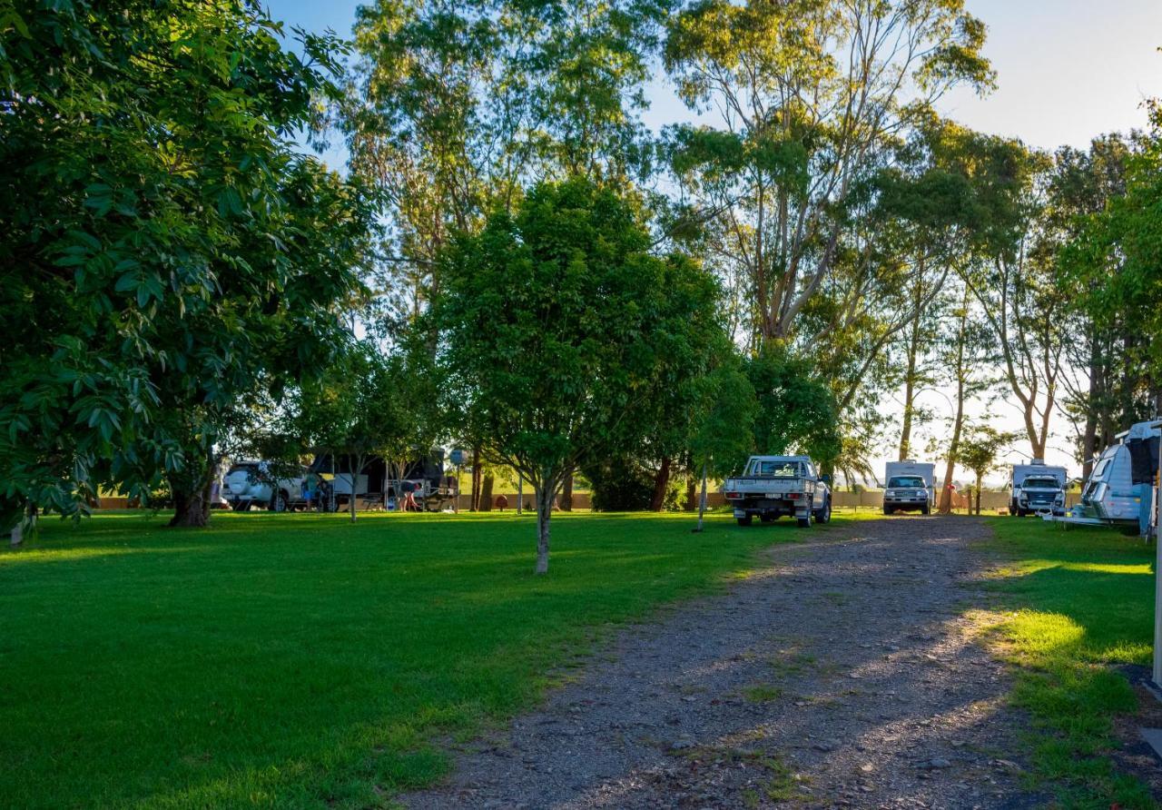 Dorrigo Mountain Holiday Park Bagian luar foto