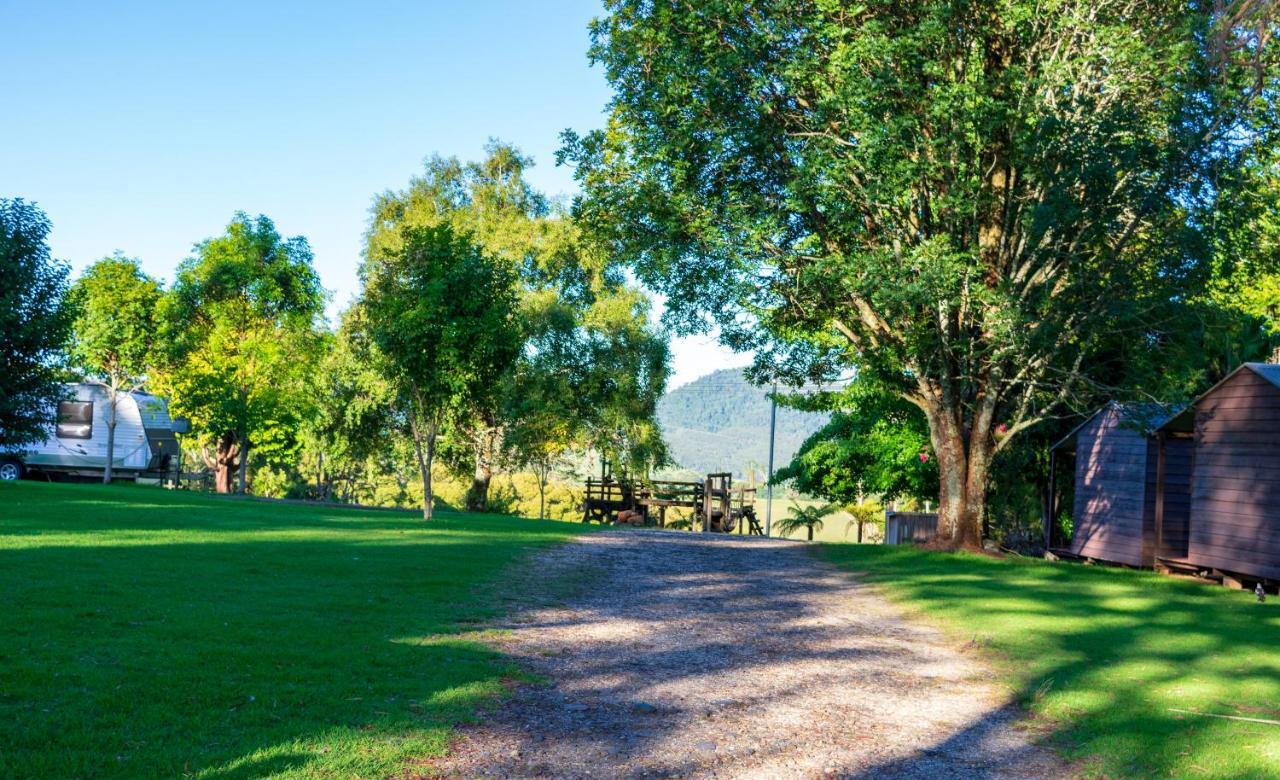 Dorrigo Mountain Holiday Park Bagian luar foto