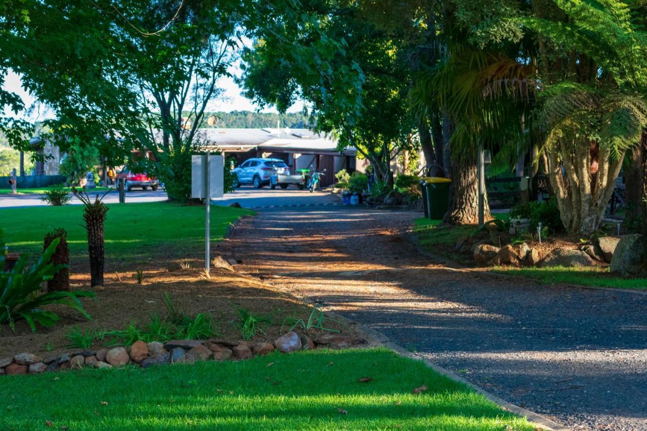 Dorrigo Mountain Holiday Park Bagian luar foto