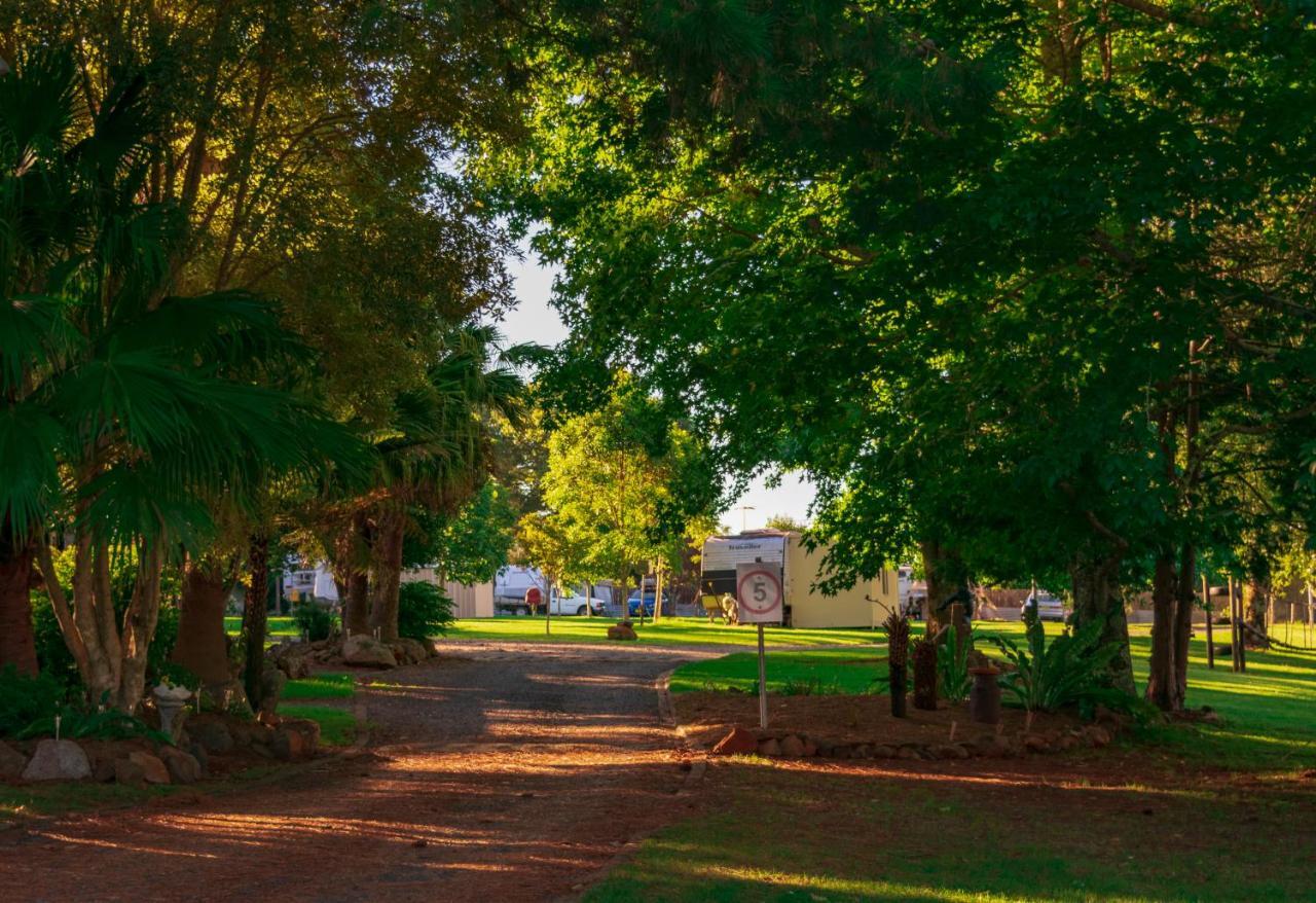 Dorrigo Mountain Holiday Park Bagian luar foto