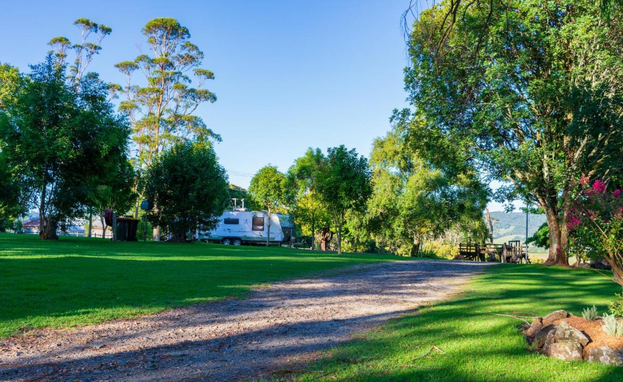Dorrigo Mountain Holiday Park Bagian luar foto