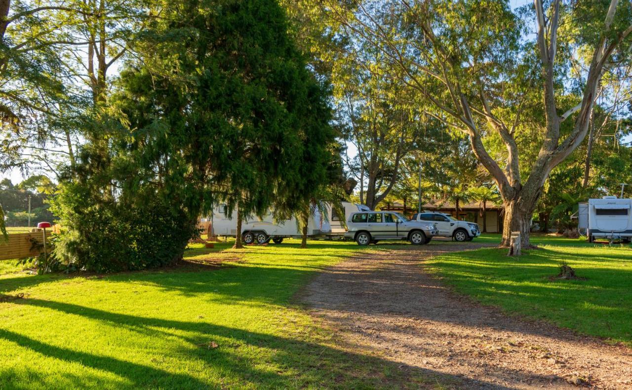 Dorrigo Mountain Holiday Park Bagian luar foto