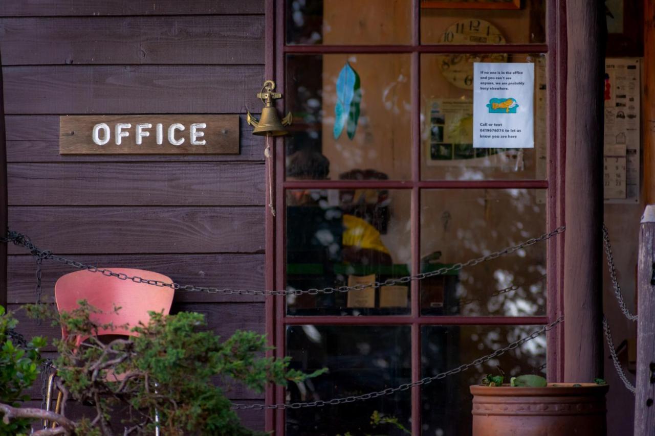 Dorrigo Mountain Holiday Park Bagian luar foto