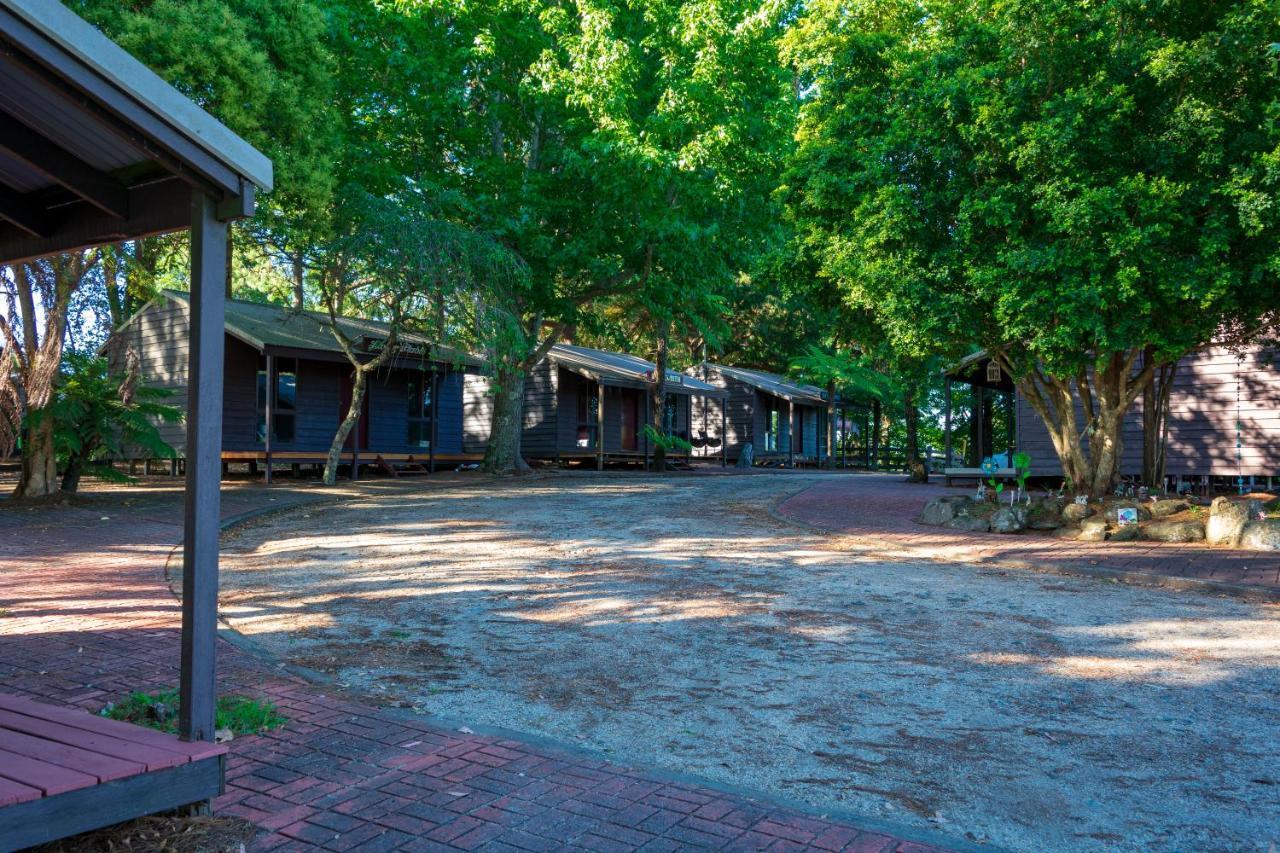 Dorrigo Mountain Holiday Park Bagian luar foto