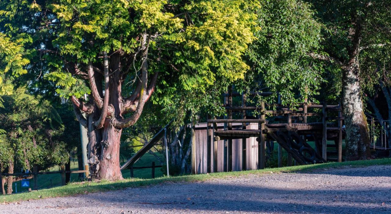 Dorrigo Mountain Holiday Park Bagian luar foto